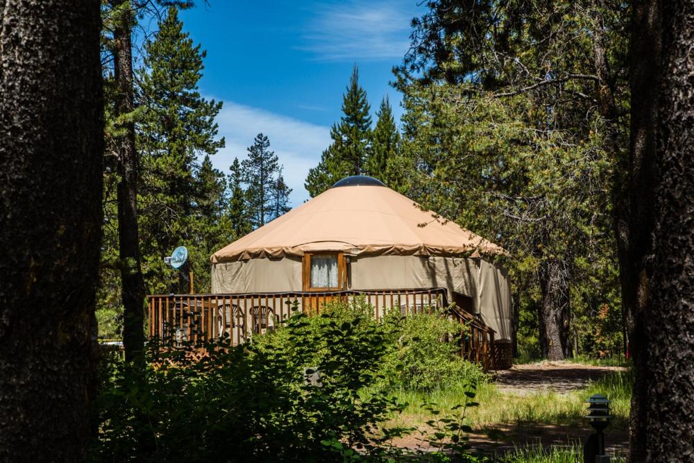 Studio Yurt interior